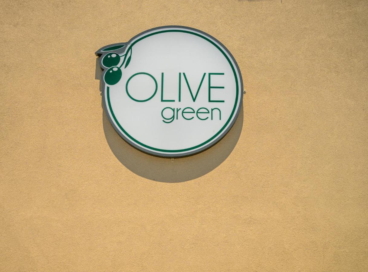 Olive And Apartment Plomari